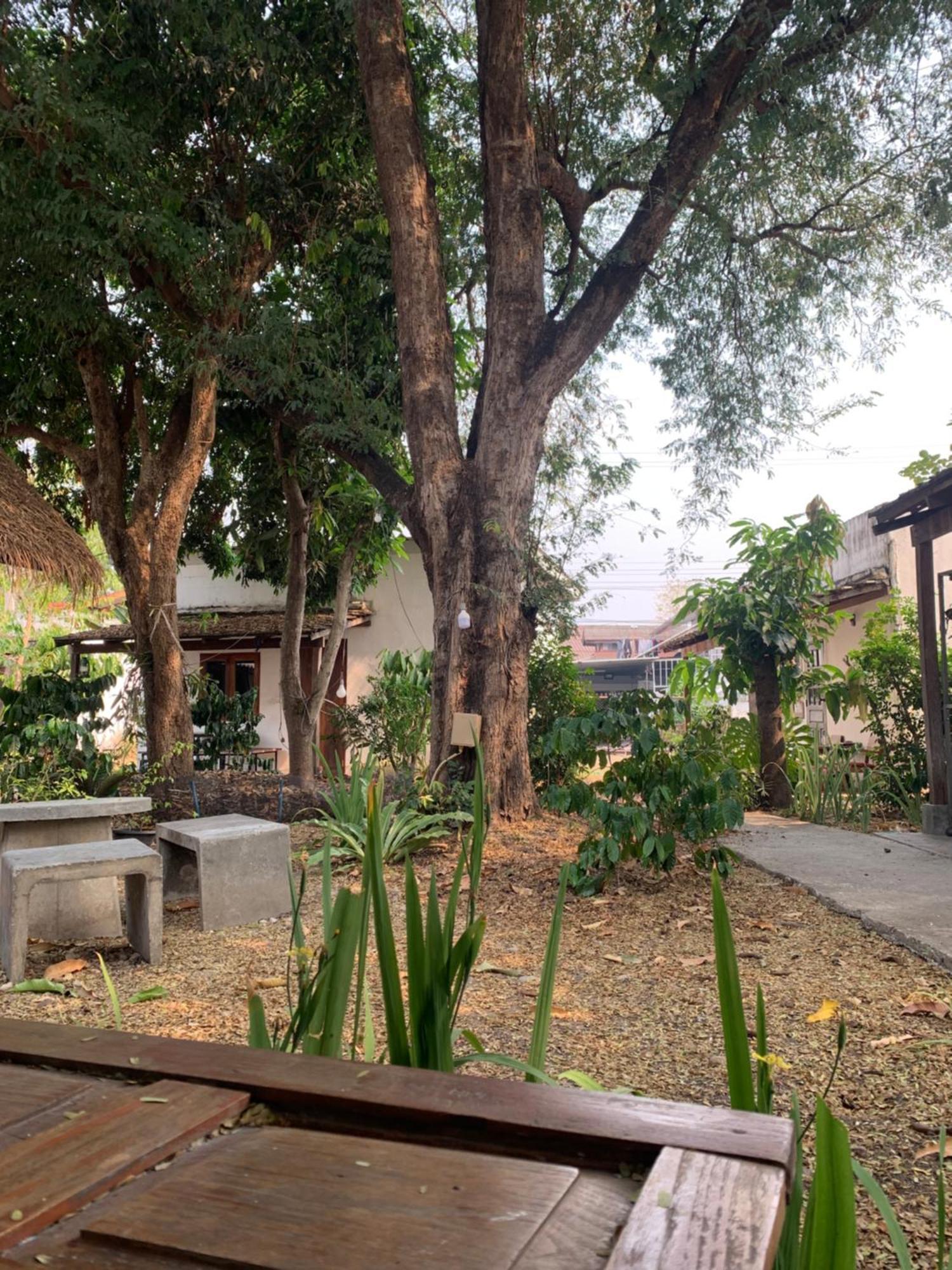 บ้านใจแปงโฮมสเตย์ Ban Jaipang Homestay 拜县 外观 照片