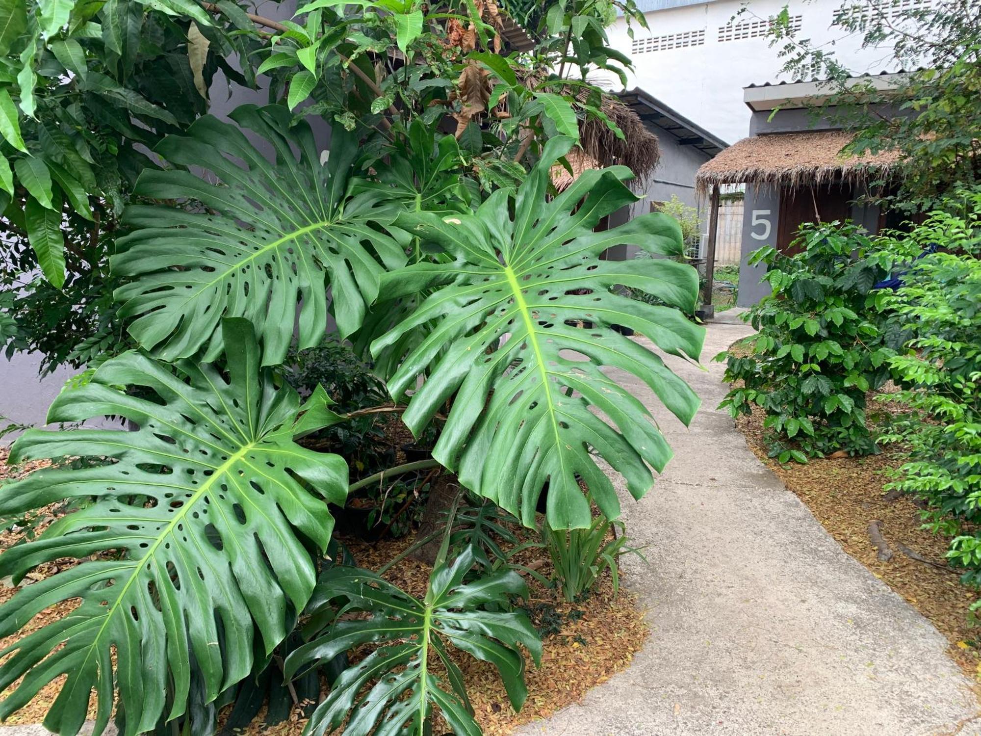 บ้านใจแปงโฮมสเตย์ Ban Jaipang Homestay 拜县 外观 照片