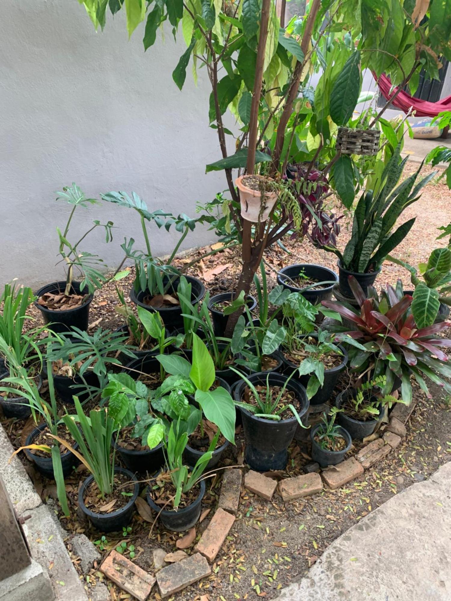 บ้านใจแปงโฮมสเตย์ Ban Jaipang Homestay 拜县 外观 照片